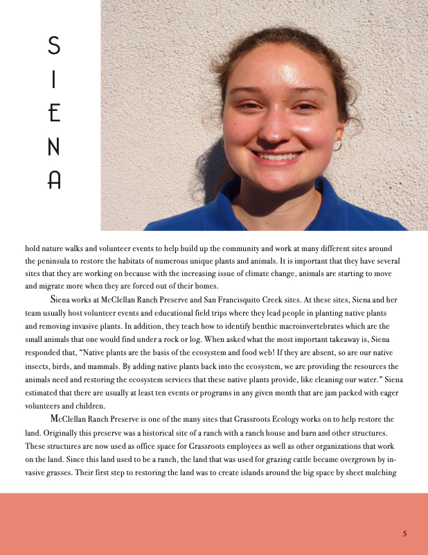 Article by Haley Grant